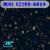 IRAS 12289-6014