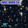 NGC  4439    21