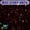 IRAS 12183-6024