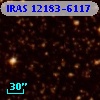 IRAS 12183-6117