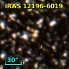 IRAS 12196-6019