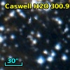 Caswell H2O 300.97+01.14