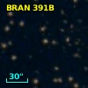 BRAN 391B