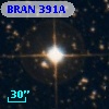 BRAN 391A