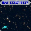IRAS 12317-6137