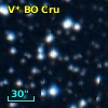 V* BO Cru