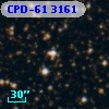 CPD-61  3161