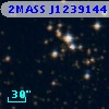 2MASS J12391446-6218297
