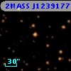 2MASS J12391778-6300029