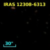 IRAS 12308-6313