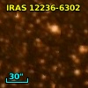 IRAS 12236-6302