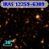 IRAS 12259-6309