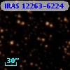 IRAS 12263-6224