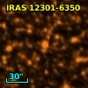 IRAS 12301-6350