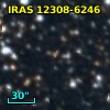 IRAS 12308-6246