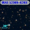 IRAS 12309-6203
