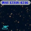 IRAS 12318-6216