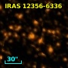 IRAS 12356-6336