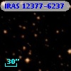 IRAS 12377-6237
