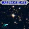IRAS 12323-6213