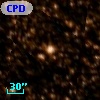 CPD-63  2343