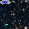 NGC  4349   313