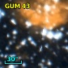 GUM 43