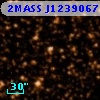2MASS J12390678-6440113