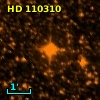 HD 110310