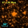 V* LN Mus