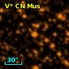 V* CN Mus