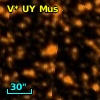 V* UY Mus