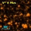 V* V Mus