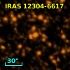 IRAS 12304-6617