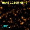 IRAS 12305-6549
