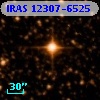 IRAS 12307-6525