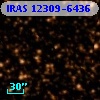 IRAS 12309-6436