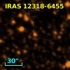 IRAS 12318-6455