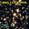 IRAS 12324-6656