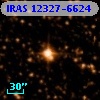 IRAS 12327-6624