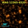 IRAS 12365-6520