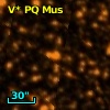 V* PQ Mus