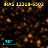 IRAS 12318-6502