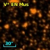 V* EN Mus