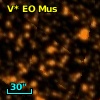 V* EO Mus