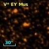 V* EY Mus