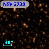 NSV  5739