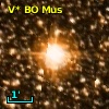V* BO Mus