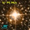 V* PS Mus