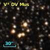 V* DV Mus